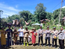 Polisi Bersama Pihak Terkait Tanam Jagung di Bangkelekila’ Toraja Utara Manfaatkan Lahan Produktif