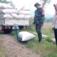 Babinsa Karangrejo Dampingi Kegiatan Panen dan Penyerapan Gabah untuk Dukung Ketahanan Pangan