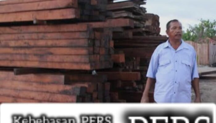 Perusahaan Kayu Ekspor LS Kembali Beroperasi di Sorong, Papua Barat Daya