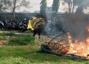 Polisi Bongkar Arena Judi Sabung Ayam di TPS Ngaglik Sidoarjo