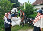 Dukung Program Pemerintah, Serka Sanusi Dampingi Panen Padi dan Administrasi Sergab
