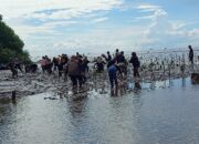 Langkah Nyata Menjaga Kelestarian Wilayah dan Cegah Abrasi di Pesisir Pantai