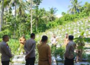 Wakapolres Majene Pimpin Penilaian Lomba P2B di Pekarangan Dasa Wisma Mongeare, Desa Adolang Dhua