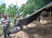 Tegas Berantas Perjudian Polisi Bongkar Lima Arena Sabung Ayam di Jember