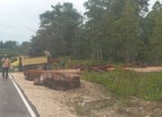 Perusahaan Kayu Ilegal Milik Sitorus Dikeluhkan Warga: Rusak Jalan dan Hutan di Papua Barat Daya