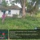 Balai Benih Ikan Tanjung Mompang Seperti rumah Hantu