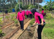 Bhayangkari Ranting Polsek Sarudu Dukung Ketahanan Pangan Nasional melalui Program Pekarangan Pangan Lestari (P2L)