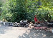 DPU Sukabumi Tunjuk CV. Jayanti Berkarya Tangani Rekonstruksi Jalan Rawan Longsor di Cidahu