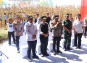 Dukung Swasembada Pangan, Kapolda Jatim Bersama Forkopimda Panen Raya Jagung Kuartal II di Ngawi