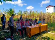 Kapolsek Bambalamotu Panen Jagung Serentak se Indonesia Secara Virtual dari Desa Randomayang