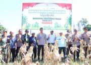 Kapolres Majene Hadiri Panen Raya Jagung Serentak Kuartal II dalam Rangka Mendukung Swasembada Pangan 2025