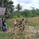 Bhabinkamtibmas Kare Kunjungi Petani Jagung Dalam Mendukung Asta Cita