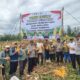 Gugus Tugas Ketapang Polres Banyuasin Sukses Panen Jagung Perdana di Lahan PT Citra Sembawa