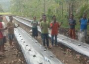 Masyarakat Desa Hililaora Gelar Penanaman Cabai sebagai Bagian dari Program Ketahanan Pangan
