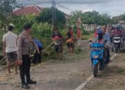 Cegah Bahaya, Bhabinkamtibmas Kawal Penebangan Pohon Rawan Tumbang di Bambalamotu