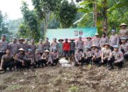 Dari Ladang Jagung, Bid Propam Polda Sulbar Jadi Penggerak Swasembada Pangan