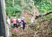 BPBD Jeneponto Bergerak Cepat Lakukan Pemangkasan Pohon Pasca Banjir Bandang di Desa Tompobulu
