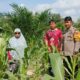 Bhabinkamtibmas Polsek Baras Pantau Perkembangan Jagung Warga, Dorong Penjualan Langsung ke Bulog