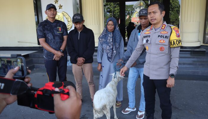 Polres Bondowoso Amankan Tersangka Curwan, Barang Bukti Kambing Diserahkan Kembali ke Pemilik