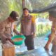 Dorong Ketahanan Pangan, Bhabinkamtibmas Polsek Baras Sosialisasi dan Evaluasi Pertanian Jagung Bersama Bulog