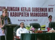 Gubernur NTT Perintahkan Kades Dan Lurah   Dorong Warga  Aktif  Dalam Program JKN