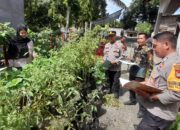Semarak HUT RI ke-80, Polsek Pasangkayu Dukung Lomba Hias Kampung dan Pemanfaatan Pekarangan di Desa Pajalele