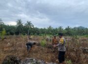 Bhabinkamtibmas Dorong Petani Jagung Jual ke Bulog, Demi Ketahanan Pangan Pasangkayu