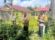 Semarak Merah Putih: Polsek Sarudu Kobarkan Semangat Gotong Royong di Lomba Hias Kampung HUT RI Ke-80