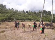 Bhabinkamtibmas Polsek Pasangkayu Giat di Hari Libur, Tanam Jagung Demi Ketahanan Pangan Desa