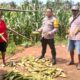 Sambang Program Ketahanan Pangan di Desa Lilimori