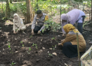 Bhabinkamtibmas Polsek Kalimanah Bersama Kelompok Wanita Tani (KWT) Rumpun Bambu Desa Grecol Ajak Warga Manfaatkan Pekarangan