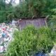 Tumpukan Sampah Dipermukaan Anak Sungai, Disebabkan Pos Gardu Menghambat Arus Air, Dinas Lingkungan Hidup dan Kebersihan (DLHK), Berkordinasi Pihak PJT Setempat