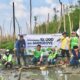 PT Bukit Asam Tbk (PTBA) Bergerak Menghijaukan Pesisir Lampung, Tanam 10.000 Mangrove di Lampung Timur