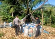 Bhabinkamtibmas Kawal Program Ketahanan Pangan, Panen Jagung 1,5 Ton di Desa Randomayang