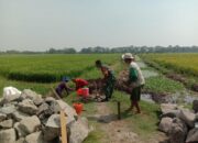 Demi Tingkatkan Produktivitas, Babinsa Bersama Warga Bangun Saluran Irigasi