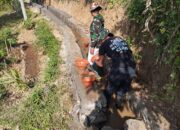 TMMD ke-126 : Irigasi di Desa Pinggang  Dan Beamese Manggarai, Gencar Diperbaiki.