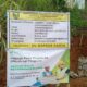 Pembangunan Talud SDN Cimuncang Resmi Dimulai, CV Kafada Karya Gandeng TPK Pak Igun dan Pak Uday Demi Kualitas dan Ketepatan Pekerjaan