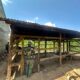 Satgas TMMD ke-126 Kodim 1612/Manggarai Rehabilitasi Rumah Warga di Desa Barang