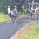 Pemdes Nangkakoneng Gencarkan Pengaspalan Jalan Pasir Limus–Ciseupan, Warga Sambut Antusias Pembangunan Infrastruktur Desa