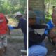 Waspadai Rabies, Vaksinasi HPR  di Reok Gencar Dilaksanakan