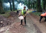 Pembangunan Jalan Lingkungan di Sukatani Resmi Dimulai, CV Arrahmah Pastikan Pekerjaan Sesuai Standar