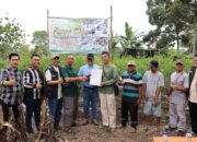 Panen Cabai Dan Kerja Sama Bisnis Baru, Bukti Transformasi PETI Berjalan Sukses Di Desa Darmo