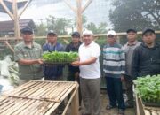 Pemdes Sukatani Bagikan 7.000 Bibit Terong dan Cabai, Kades Ujang Suriana S.E. Gunakan Dana Pribadi Dukung Program Buruan Hejo