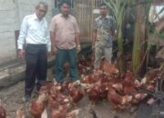 Pemerintah Desa Simaluaya Mengedepankan BUMDES untuk Mengelola Ketahanan Panan