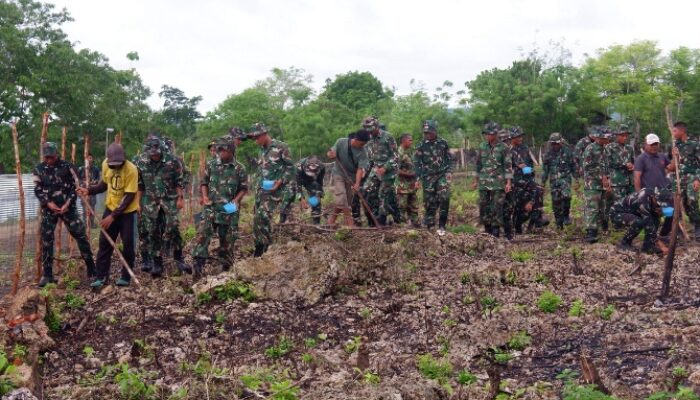 Kegiatan Penanaman Jagung, Danyonif TP 870 Sangiawambulu Beri Arahan Prajurit Harus Ikhlas Bantu Masyarakat