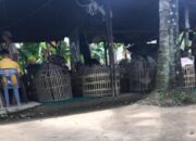 Sabung Ayam Dan Judi Kartu Marak di Gang Bunga Marelan, Penjagaan Ketat Hambat Warga Masuk