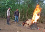 Polres Malang Bongkar Arena Judi Sabung Ayam di Kalipare