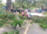 Sigap dan Humanis, Bhabinkamtibmas Polsek Sendana Polres Majene Turun Tangan Atasi Pohon Tumbang Yang Tutup Akses Lalu Lintas