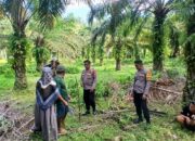 Kapolsek Bambalamotu Dampingi BPN Lakukan Penyesuaian Batas Lahan Perkebunan Warga yang Bersengketa