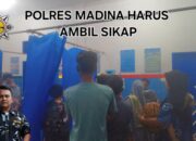 Satu Tewas, Dua Luka Parah di PETI Kota Nopan, SATMA AMPI Madina: Tangkap Pemain Tambang Sekarang!